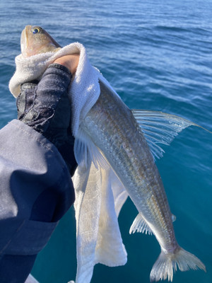 80124237664d4d2abefba1f2d2626e94176 80124237664d4d2abefba1f2d2626e94176