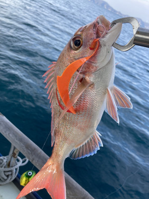 D9fbd46c305a4f45be7e0a79ceb464de176 D9fbd46c305a4f45be7e0a79ceb464de176