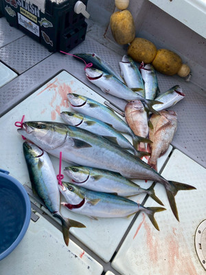 596796890763755780_2