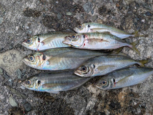 596014172014379011 596014172014379011