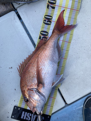 598248717988135556_2 598248717988135556_2