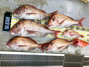 598955060659224786_2 598955060659224786_2