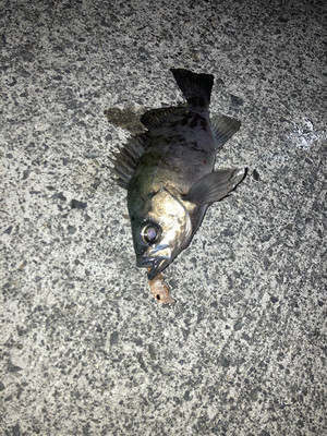 600882133666103367 600882133666103367