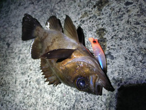 600882169015435316 600882169015435316