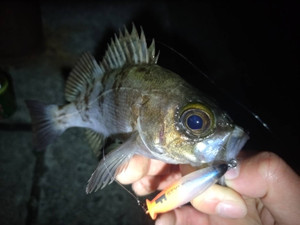 600882169132876050 600882169132876050