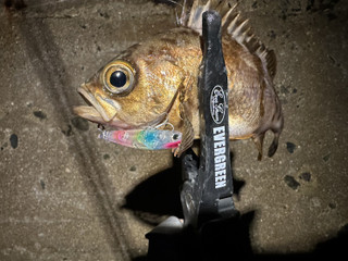 599504850363351535_1