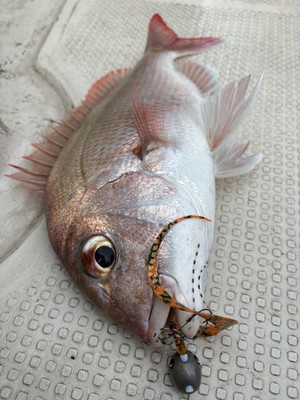 601248756066943368 601248756066943368