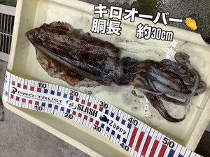 80da2d01637a46a9a1a70bbc95a27c88