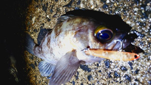 S20260305_225916914_2