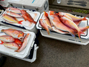 605763833943818401_2 605763833943818401_2