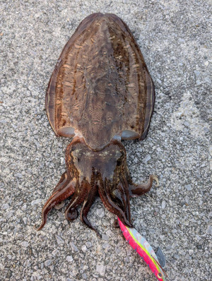 605871210475553144 605871210475553144