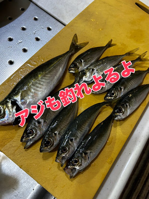 Cc6c814b7e8449eb9c4ff35e5e9ec253