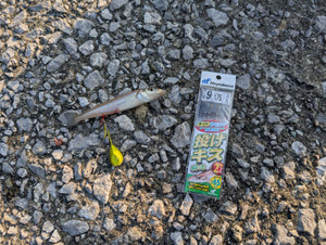 607906468053909558 607906468053909558