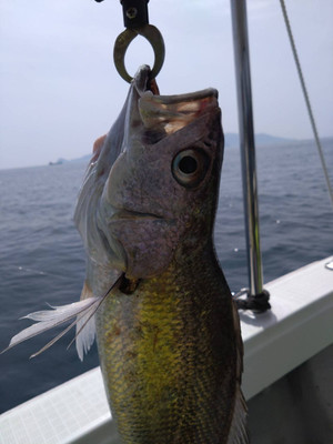 608010819216867414 608010819216867414