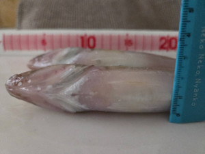 608413752294899803 608413752294899803