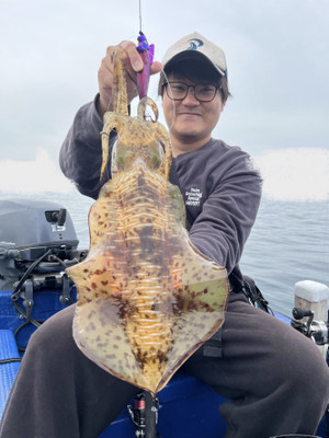 608486321824465424_1