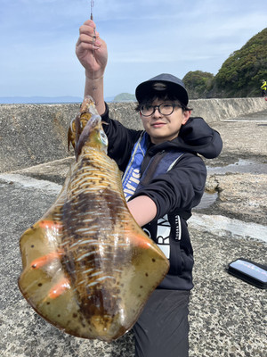 610782000433332225_2