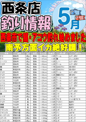 Photo_3