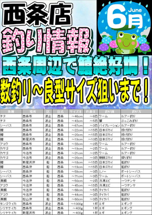 Photo_2