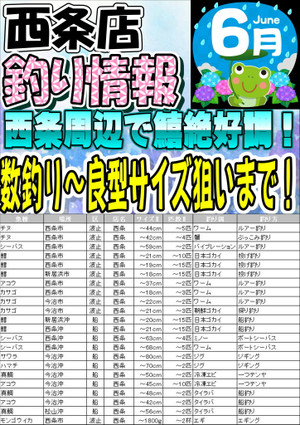 Photo_3