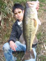 Bass_213_small_3