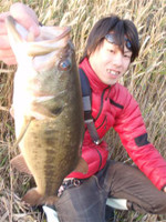 Bass_216_small_2