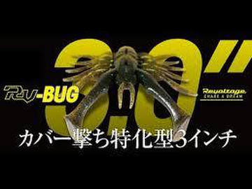 Bug30