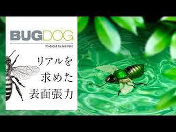 Bugdog