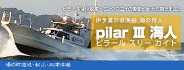 Pilar3