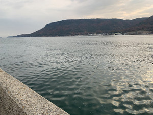Img_3786