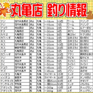Photo_7