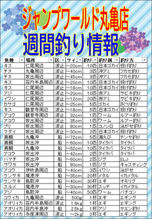 Photo_5