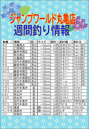 Photo_2