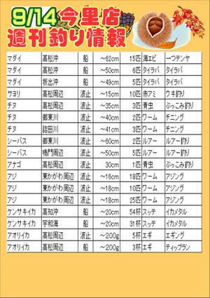 Photo_5