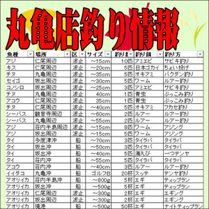 Photo_2