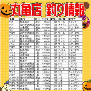Photo_3