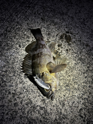 601145689216647203_2