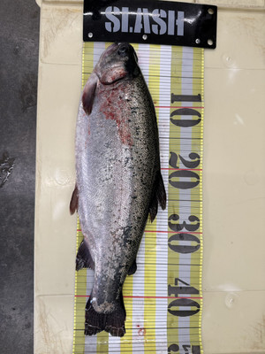 604868886877176048 604868886877176048