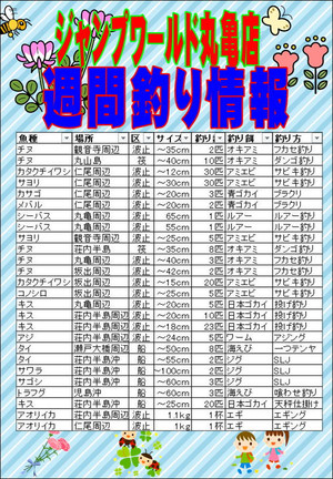 Photo_3