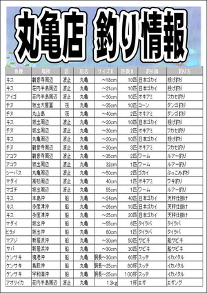 Photo_2