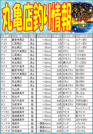 Photo_4