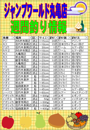 Photo_2