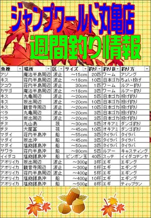 Photo_3