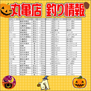 Photo_2 Photo_2