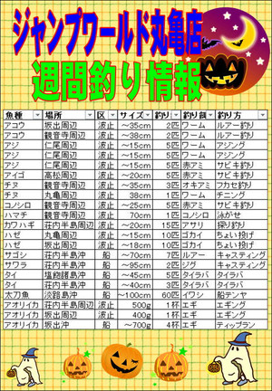 Photo_2