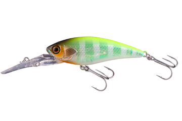 D_bill_chartback_bluegill