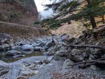 591110214862766647_medium 591110214862766647_medium