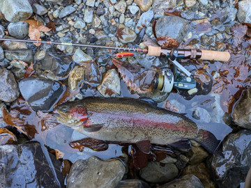 591110216305606777_medium 591110216305606777_medium