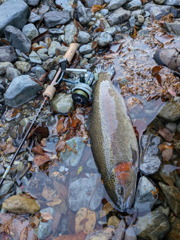 591110217061368542_medium 591110217061368542_medium