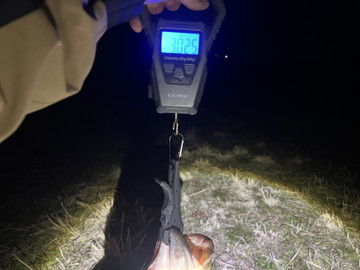 Img_6384_2 Img_6384_2